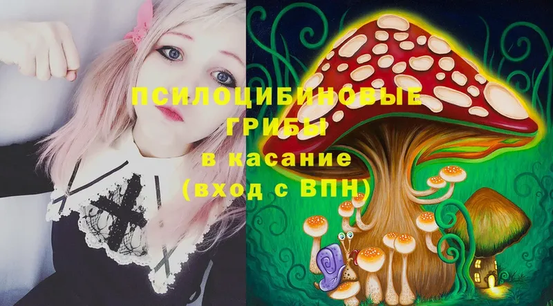 Галлюциногенные грибы Magic Shrooms  shop какой сайт  Надым 